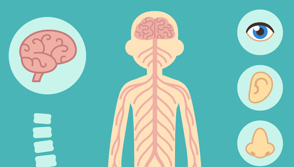 16 Mysterious Facts About the Human Body