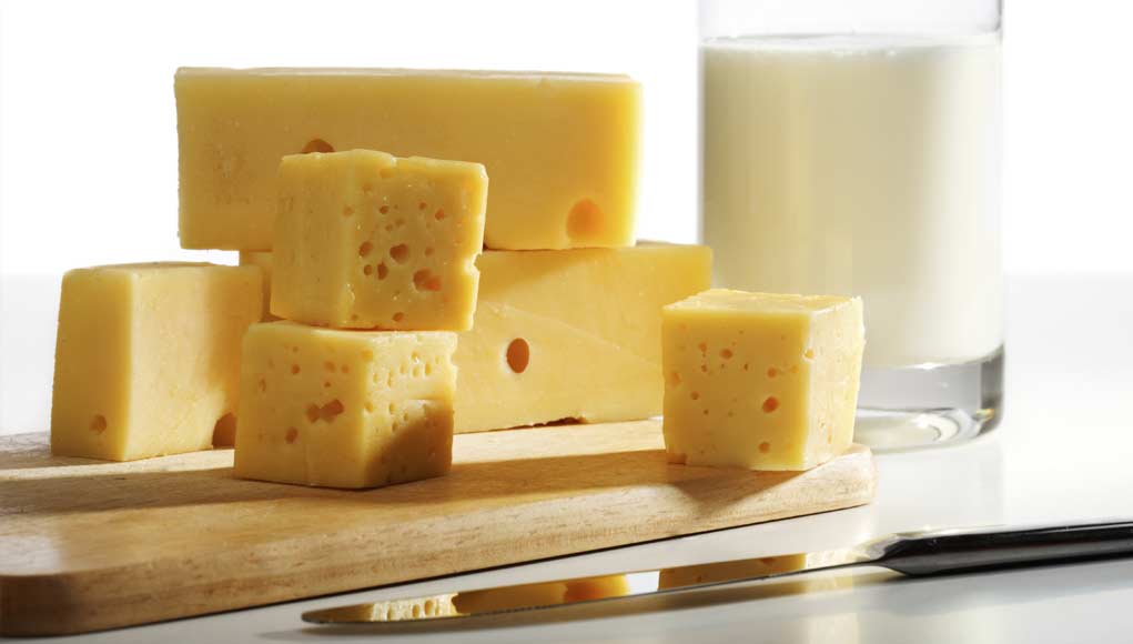 Why Grownups Eat Cheese Why Grownups Eat Cheese
