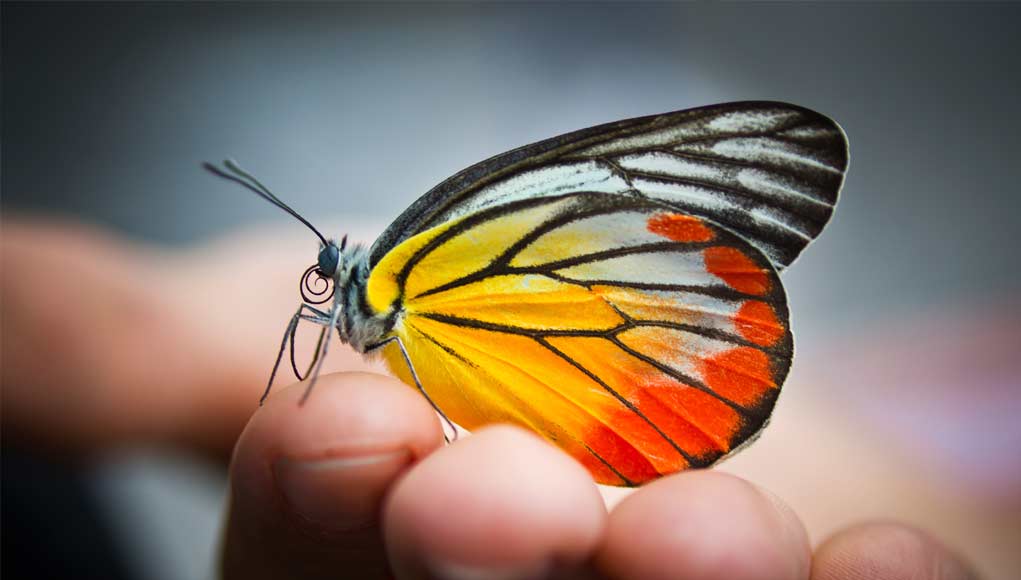 Life-Changing Tips for Highly Sensitive People... Life-Changing Tips for Highly Sensitive People...