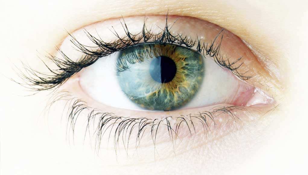 Tips To Strengthen Your Eyesight In Just Minutes Tips To Strengthen Your Eyesight In Just Minutes