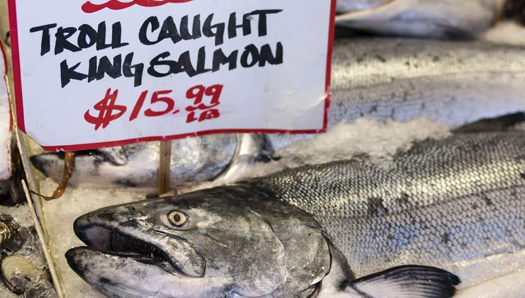 The Wild Caught Salmon Rip-Off