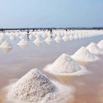 Sea Salt Contaminated With Plastic - Is Yours?