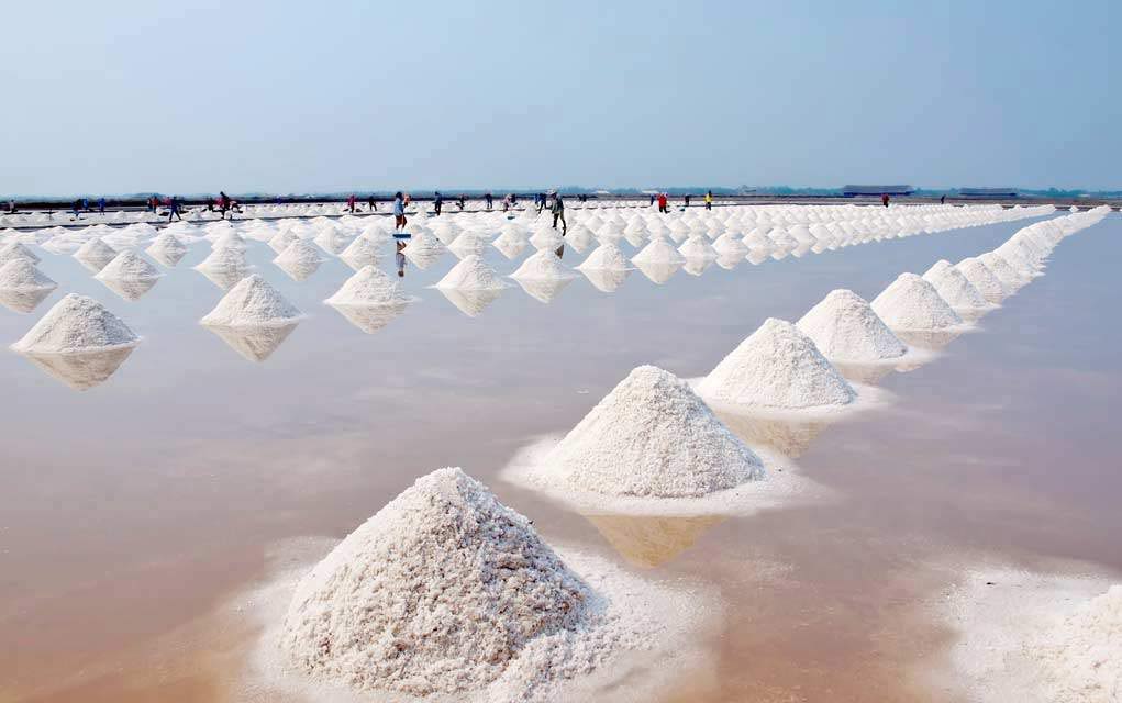 Sea Salt Contaminated With Plastic - Is Yours?