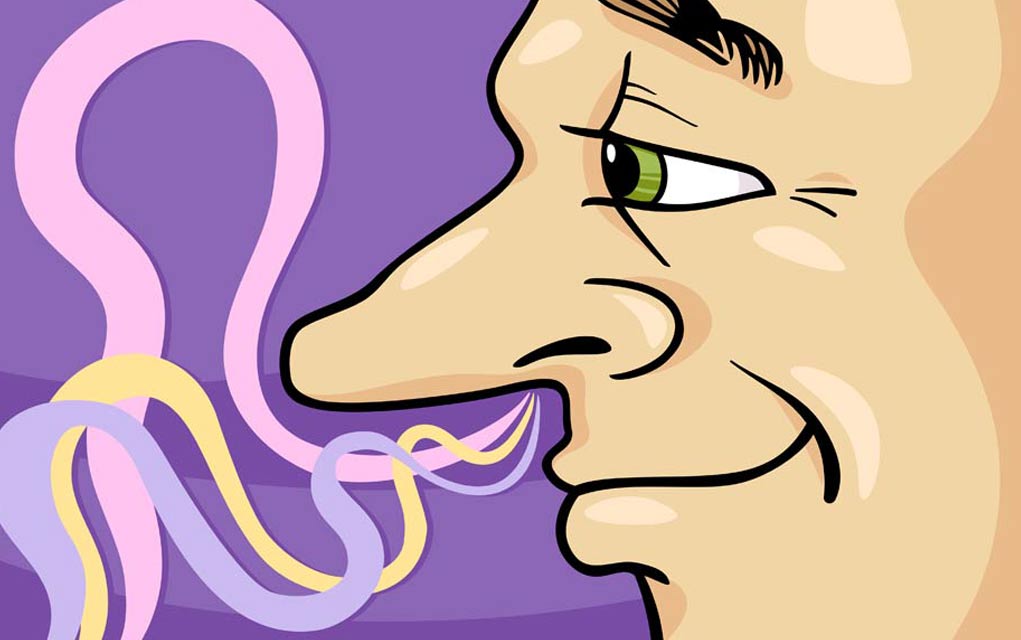 11 Smells You Can Hardly Find Anymore 11 Smells You Can Hardly Find Anymore