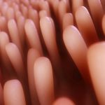 How to Balance Your Gut and Cure Mental Illness