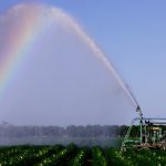 Get Your Nutrients Through the Rainbow