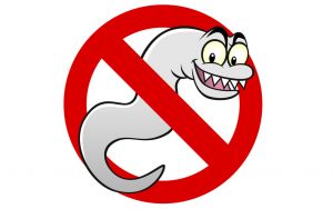 Which Foods Can Rid Parasites from Your Body?