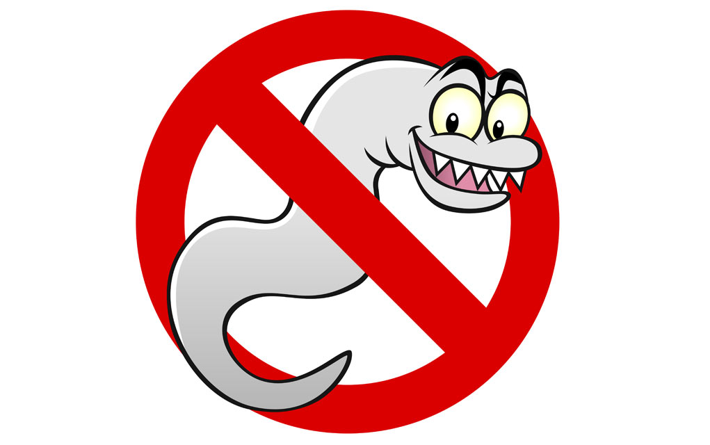 Do You Have Parasites? - How To Know Do You Have Parasites? - How To Know
