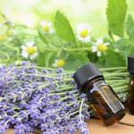 The Unexpected Remarkable Benefits of Lavender