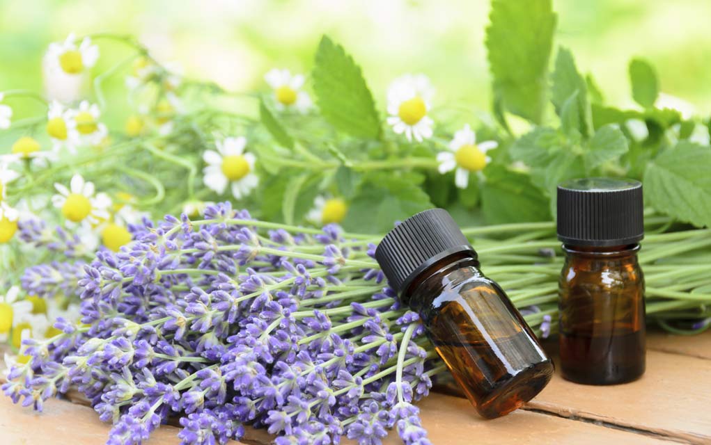 The Unexpected Remarkable Benefits of Lavender The Unexpected Remarkable Benefits of Lavender