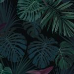 Wellness-Pursuits-Background-Contact