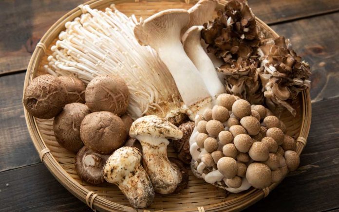 X-Surprising-Reasons-You-Should-Be-Eating-Mushrooms