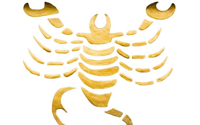 Why-You-Need-a-Scorpio-in-Your-Life Why You Need a Scorpio in Your Life