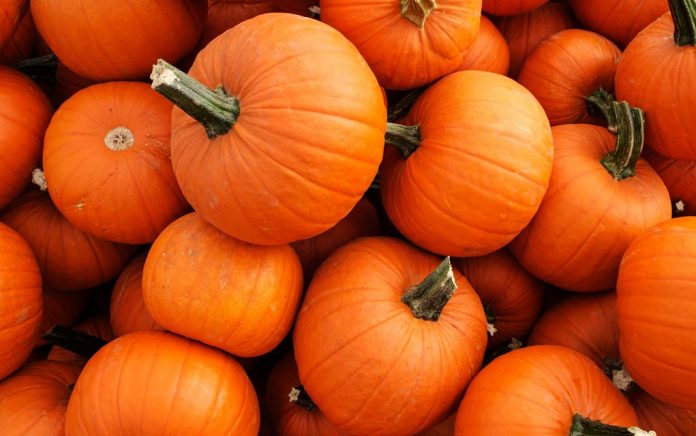 X-Amazing-Reasons-You-Need-to-Eat-Pumpkin