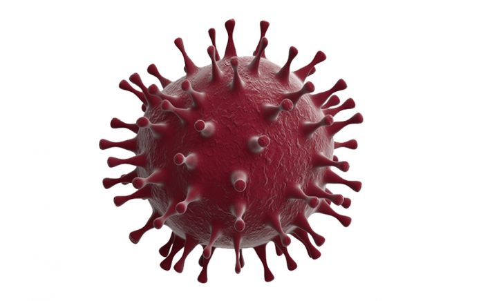 Coronavirus Disease 2019: What You Need to Know