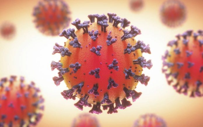 Coronavirus UPDATE: Recap 3/25/20