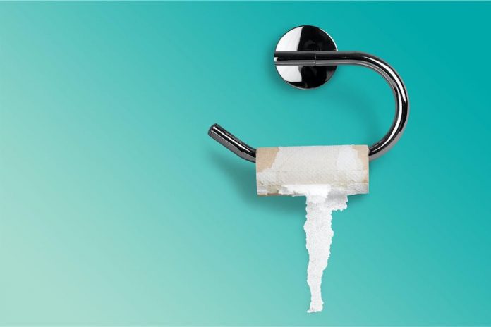 Toilet Paper Alternatives Toilet Paper Alternatives