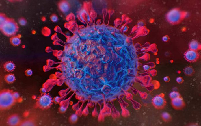 Coronavirus UPDATE: Recap 4/29/20