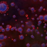 Why-COVID-19-Could-Become-a-Seasonal-Illness
