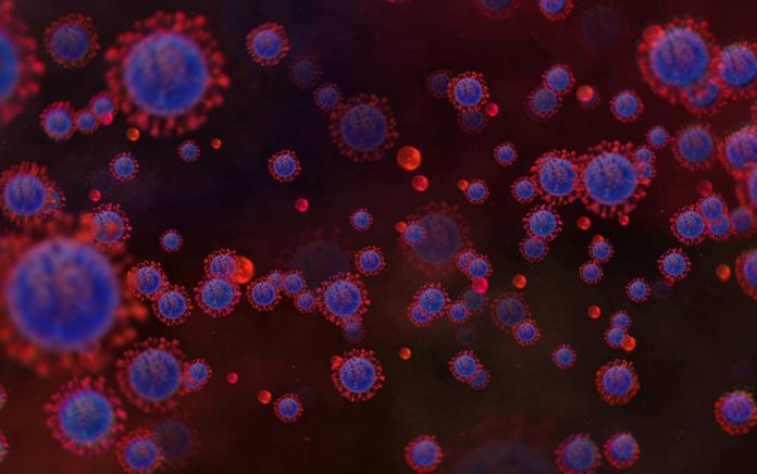 Coronavirus UPDATE: Recap 6/25/20