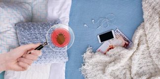 Bedbugs! Ewww! How to Spot Them and Stop Them