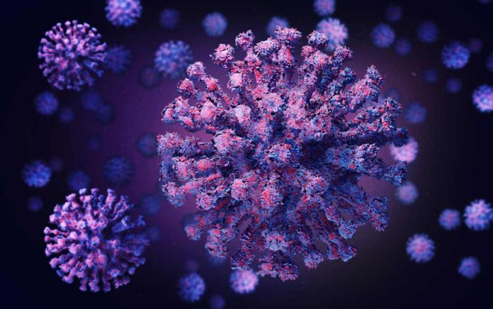 Why Coronavirus Attacks Age Groups Differently Why Coronavirus Attacks Age Groups Differently