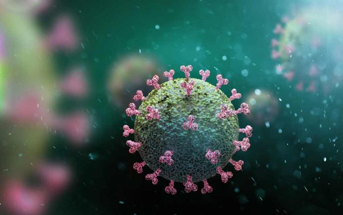 Coronavirus-How-Long-Can-It-Live-What-You-Can-Do