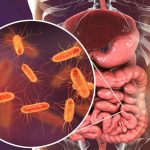 4 Ways To Optimize Probiotic Effectiveness