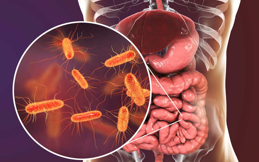 4 Ways To Optimize Probiotic Effectiveness