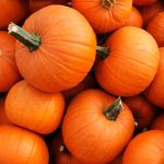 5 Amazing Reasons You Need to Eat Pumpkin