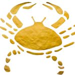 Why You Want a Crab in Your Life