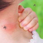Mosquitos-How-to-Make-Them-Buzz-Off-2